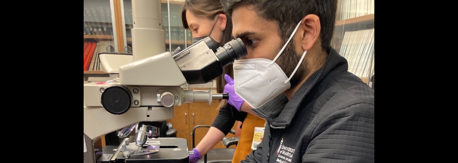 MSTP student looks into microscope